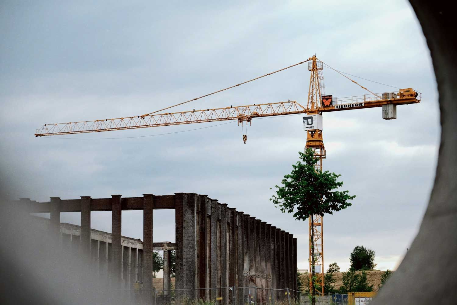 Yellow construction crane with a tree growing through it