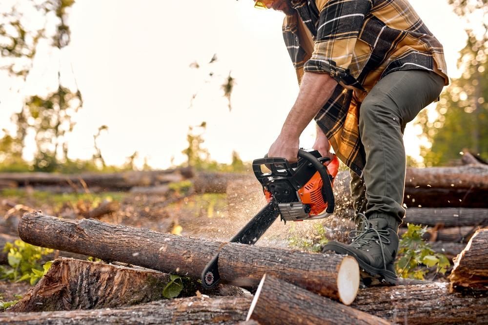 A Man is Cutting Logs With a Chainsaw in the Woods — Gloucester Outdoor Solutions In Gloucester, NSW