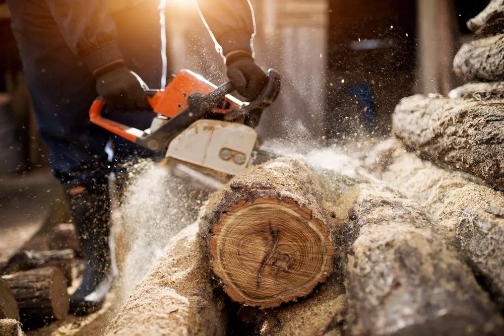 Close Up Of A Lumberjack Cutting Old Wood With A Chainsaw — Gloucester Outdoor Solutions In Stroud, NSW