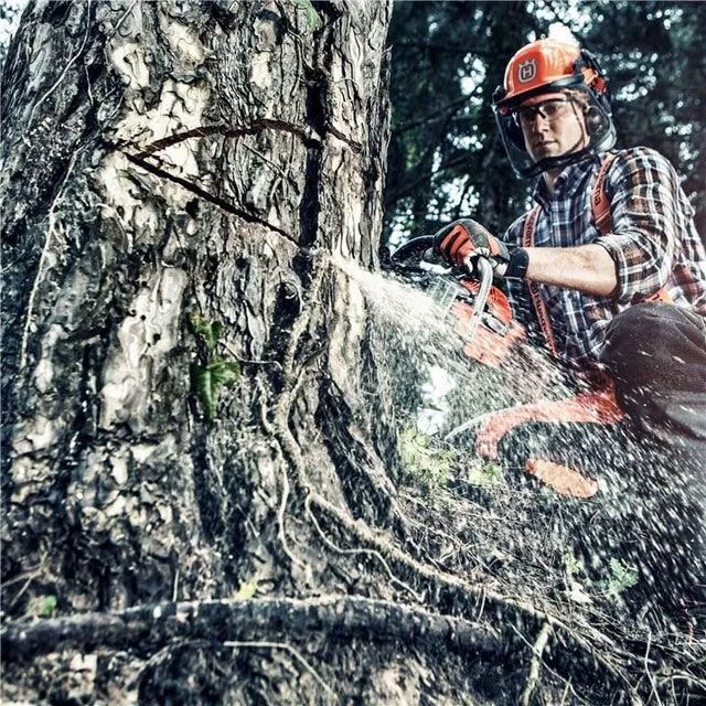 Men Cutting The Big Tree Using Chainsaw — Gloucester Outdoor Solutions In Bulahdelah, NSW