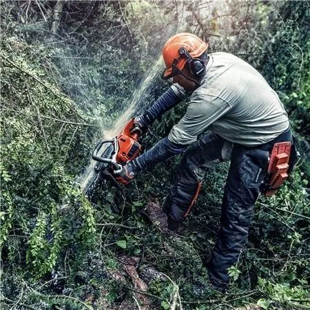 A Man Sawing A Tree With A Chainsaw — Gloucester Outdoor Solutions In Stroud, NSW