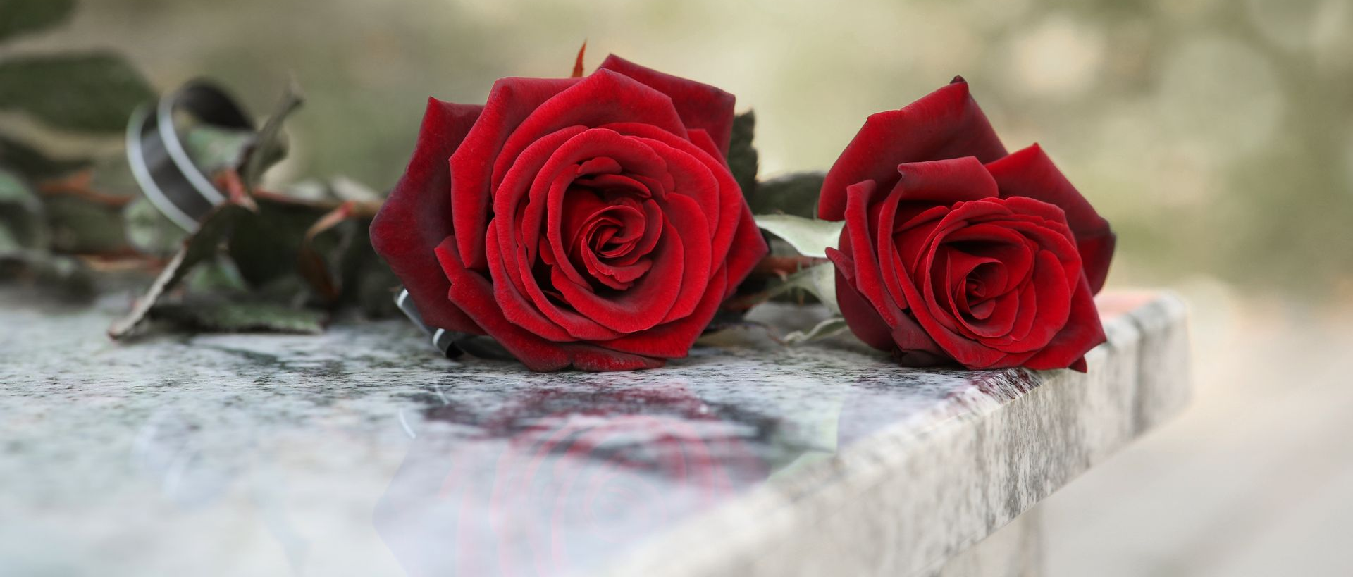 Two red roses resting on a weathered stone ledge against a soft blurred background