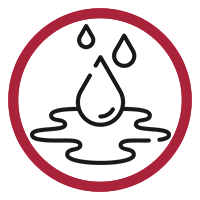 Water and Oil