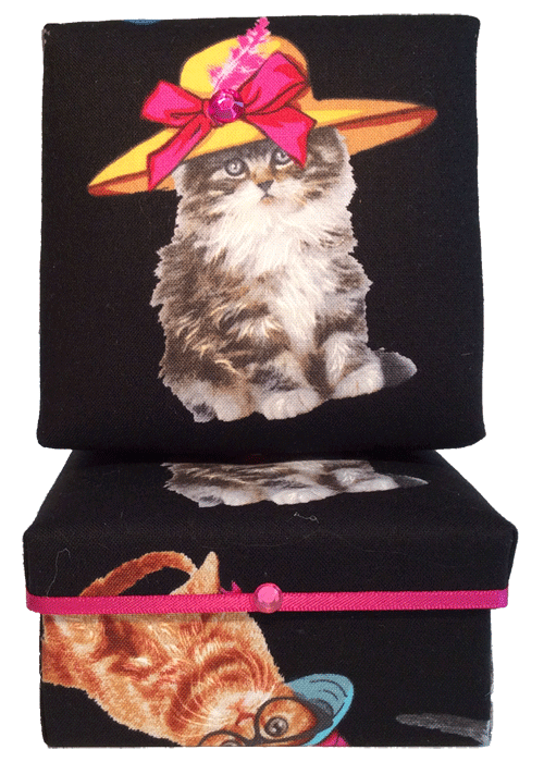 Dress Up Kitty Gift Box