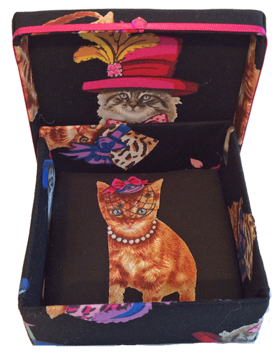Dress Up Kitty Gift Box