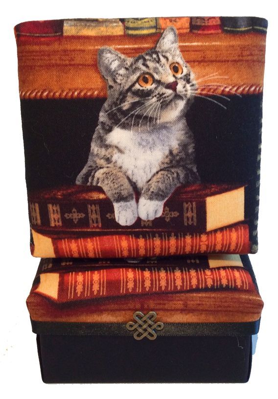 Book Cats Gift Box