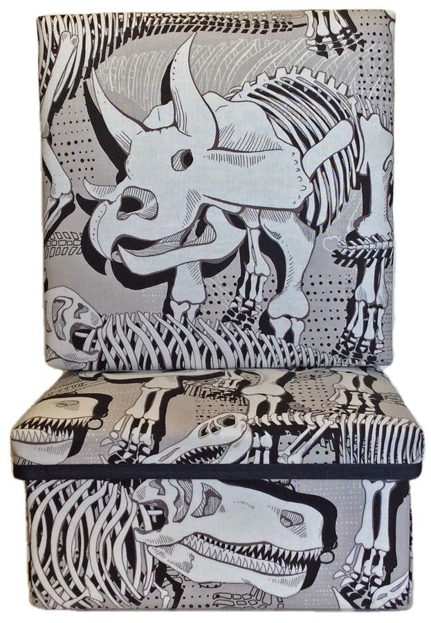 Dinosaur Bones Keepsake Box