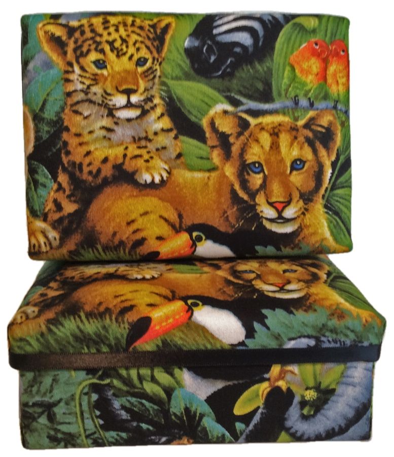 Lion and Leopard Cubs Gift Box