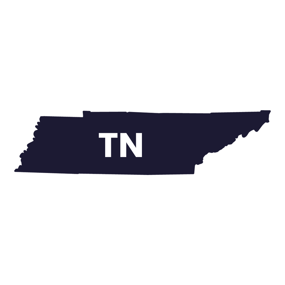 Tennessee Storage Icon