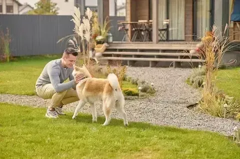 Dog sitter taking care of dog in the backyard.