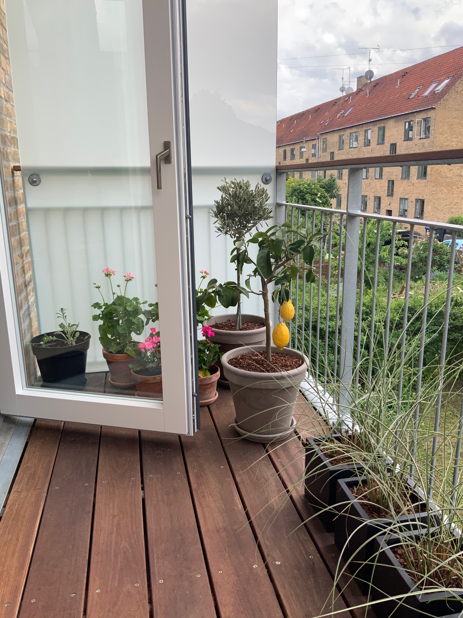 En altan med potteplanter og blomster på