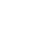 Icon for Cultural Heritage Surveys 