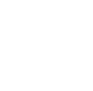 Icon for Cultural Heritage Surveys 