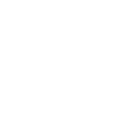 Icon for Cultural Heritage Surveys 