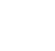 Icon for Cultural Heritage Surveys 