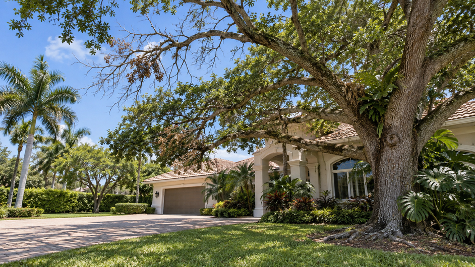 Common tree concerns near a home in Weston Florida