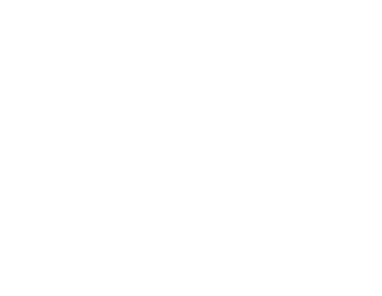 LOGO MISSION SERVICE
