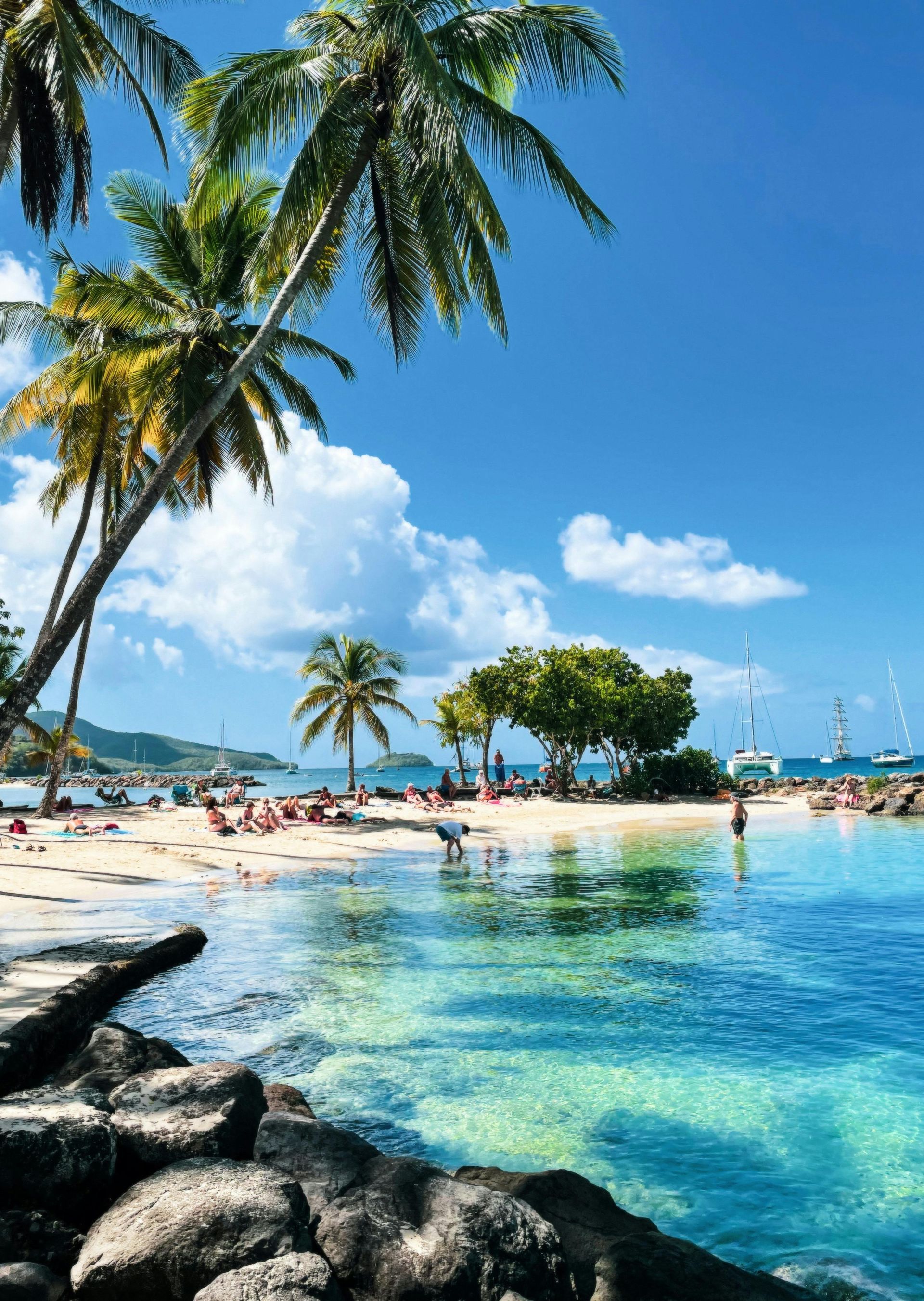 Tropical beach with palm trees, turquoise water, white sand, and people relaxing under a bright blue sky