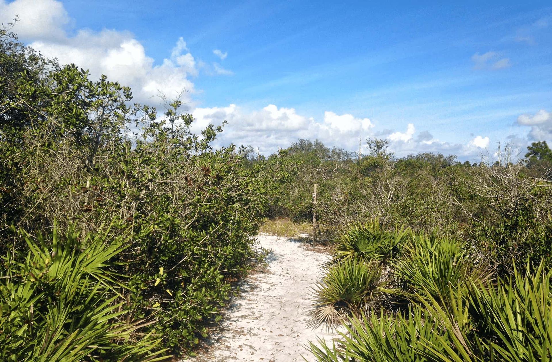 Babson Park