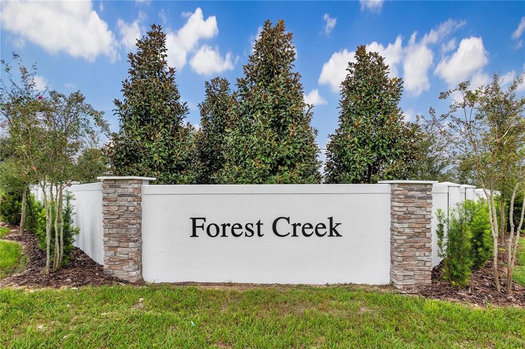 Seasons at Forest Creek