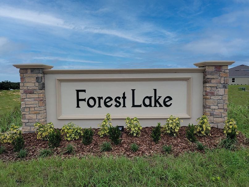 Forest Lake