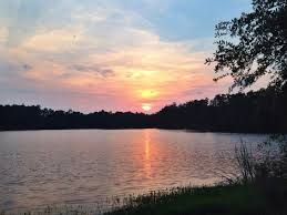 Land O' Lakes