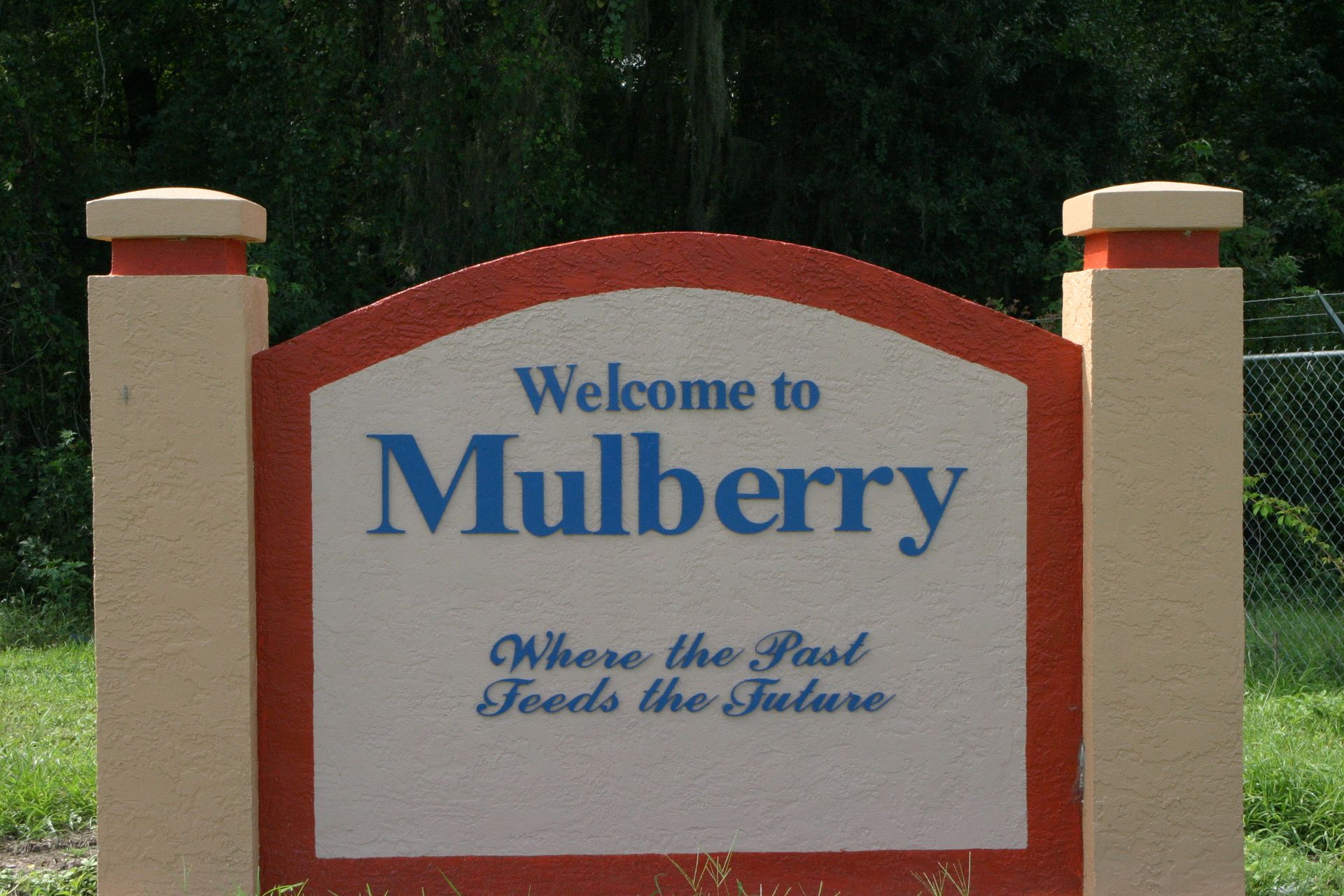 Mulberry