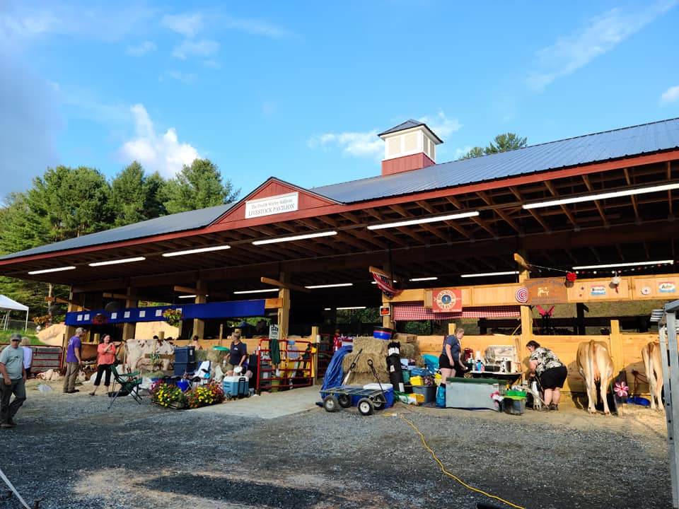 A group of people are standing in front of a horse stable.