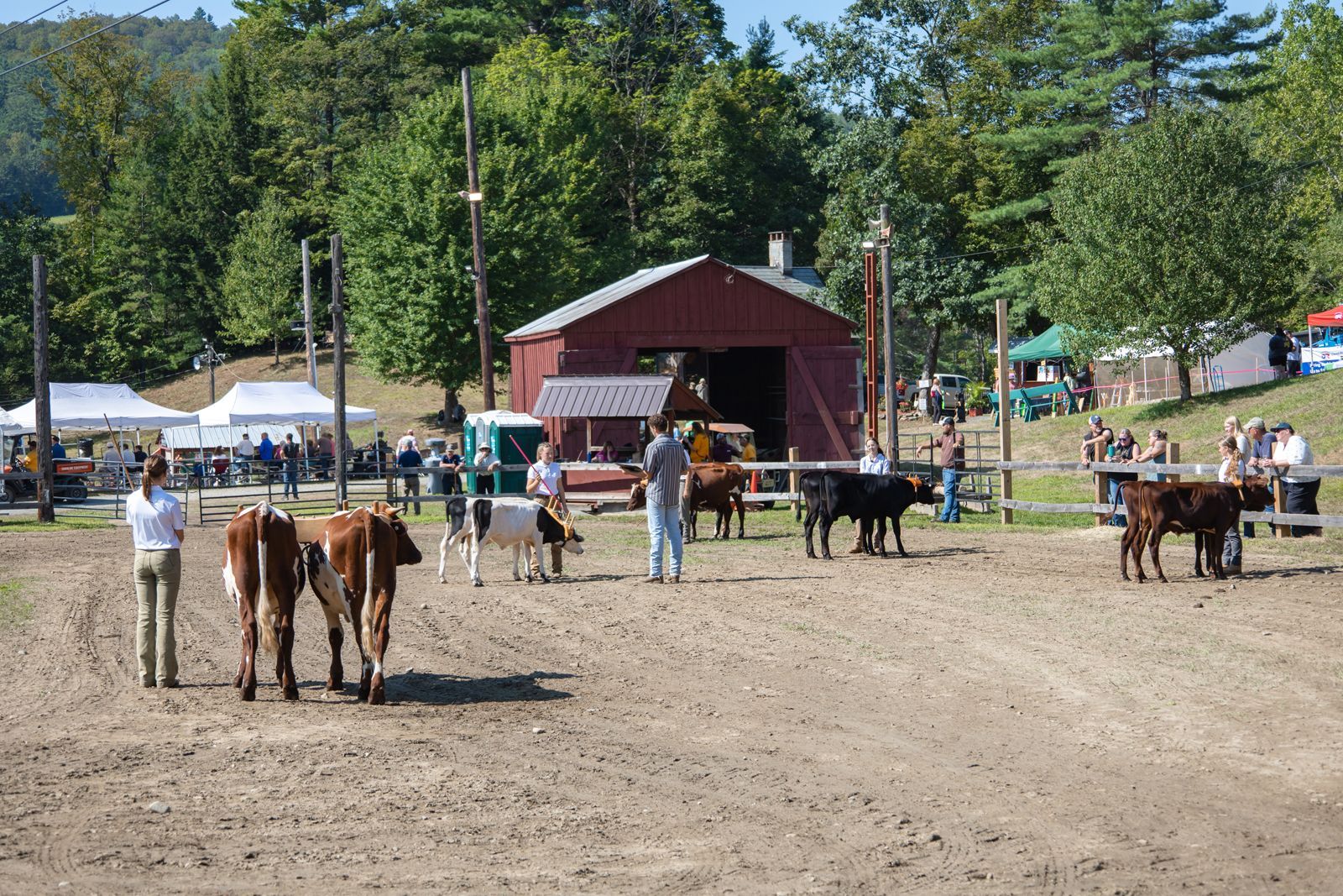People leading horses in a dirt arena with a red barn and spectators in the background