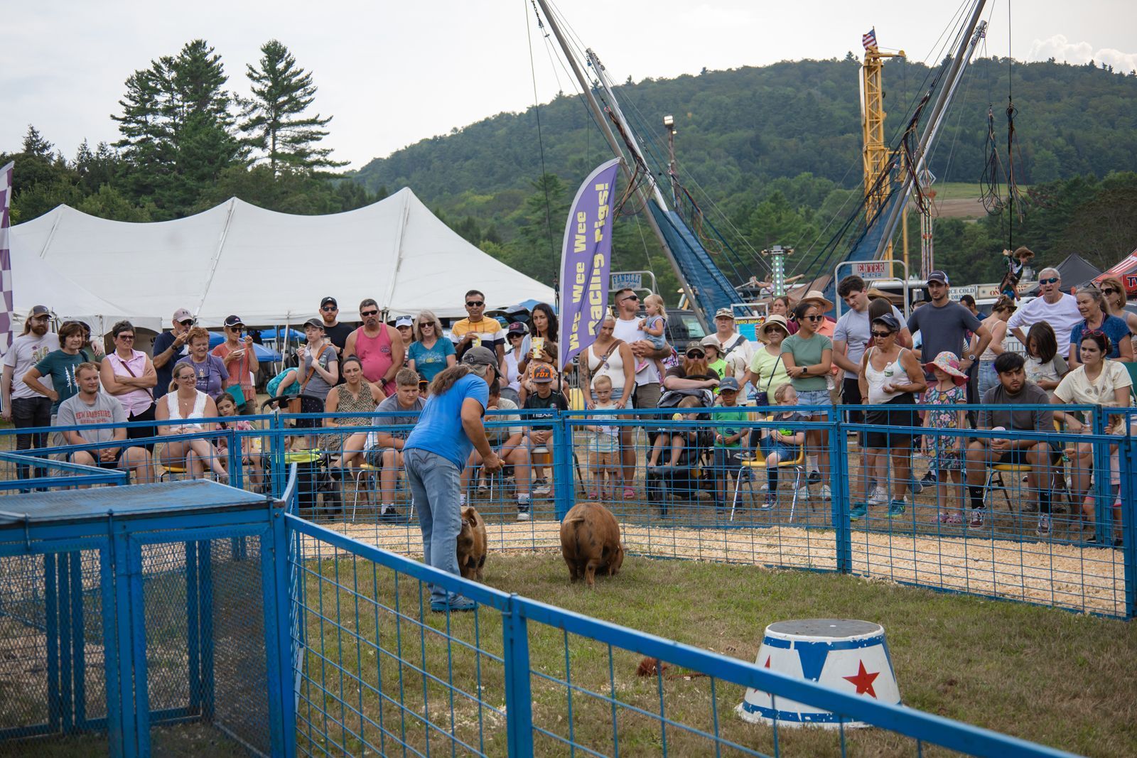 Person in blue leading a small horse in an outdoor arena with a crowd watching behind a blue fence.