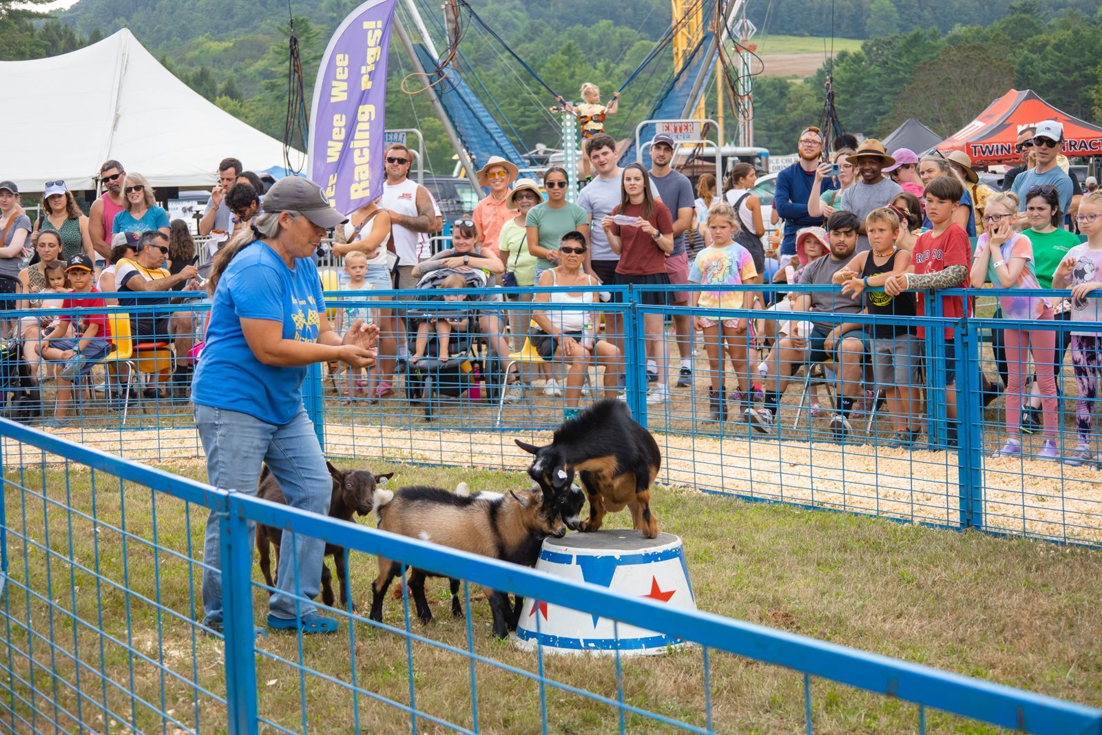 Man in blue guiding a dog over an obstacle at an outdoor dog show, with spectators behind a fence.
