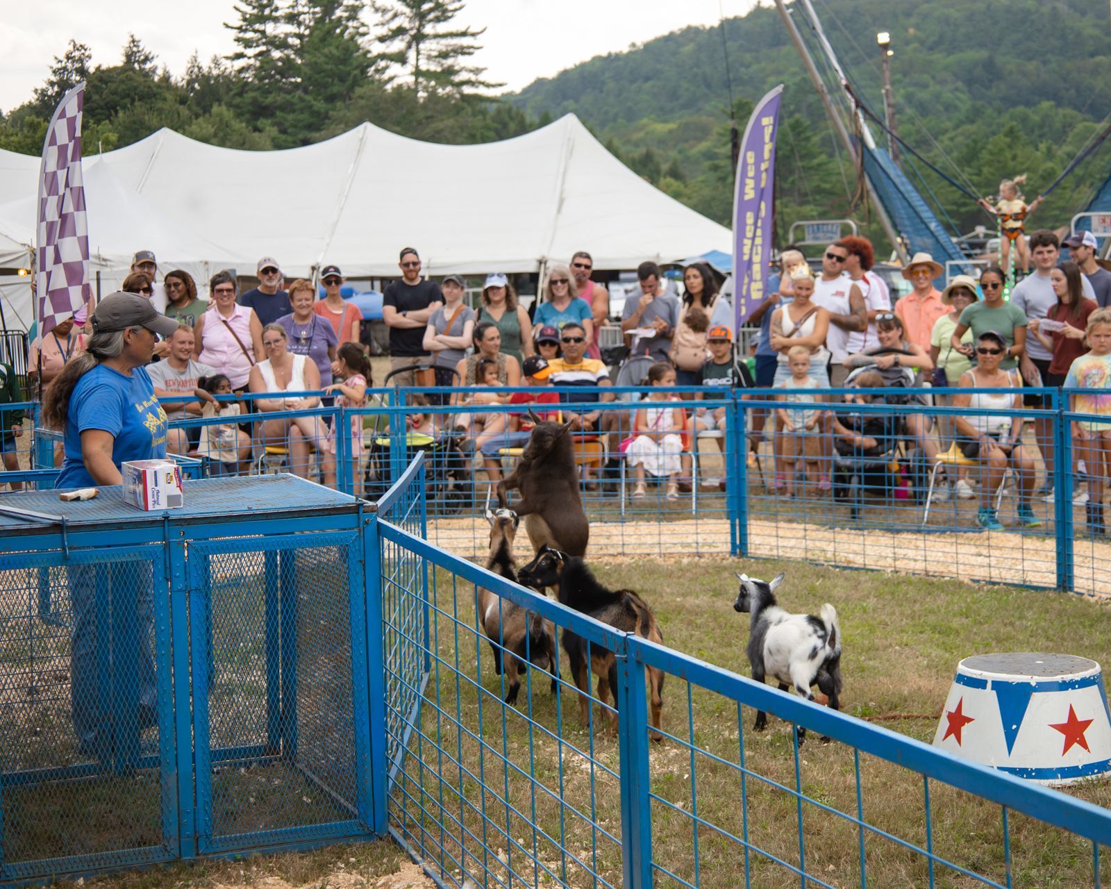 Dog agility event with two dogs jumping in a fenced ring at an outdoor fair