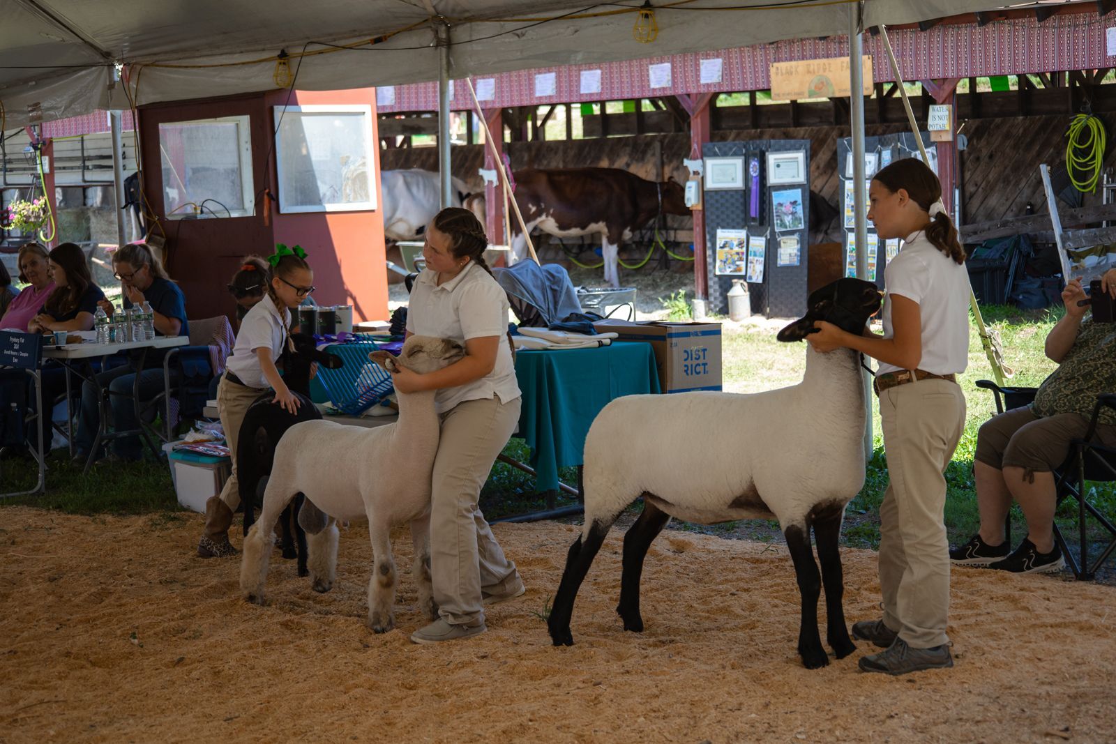 Children riding small white ponies at an indoor fair booth with handlers nearby