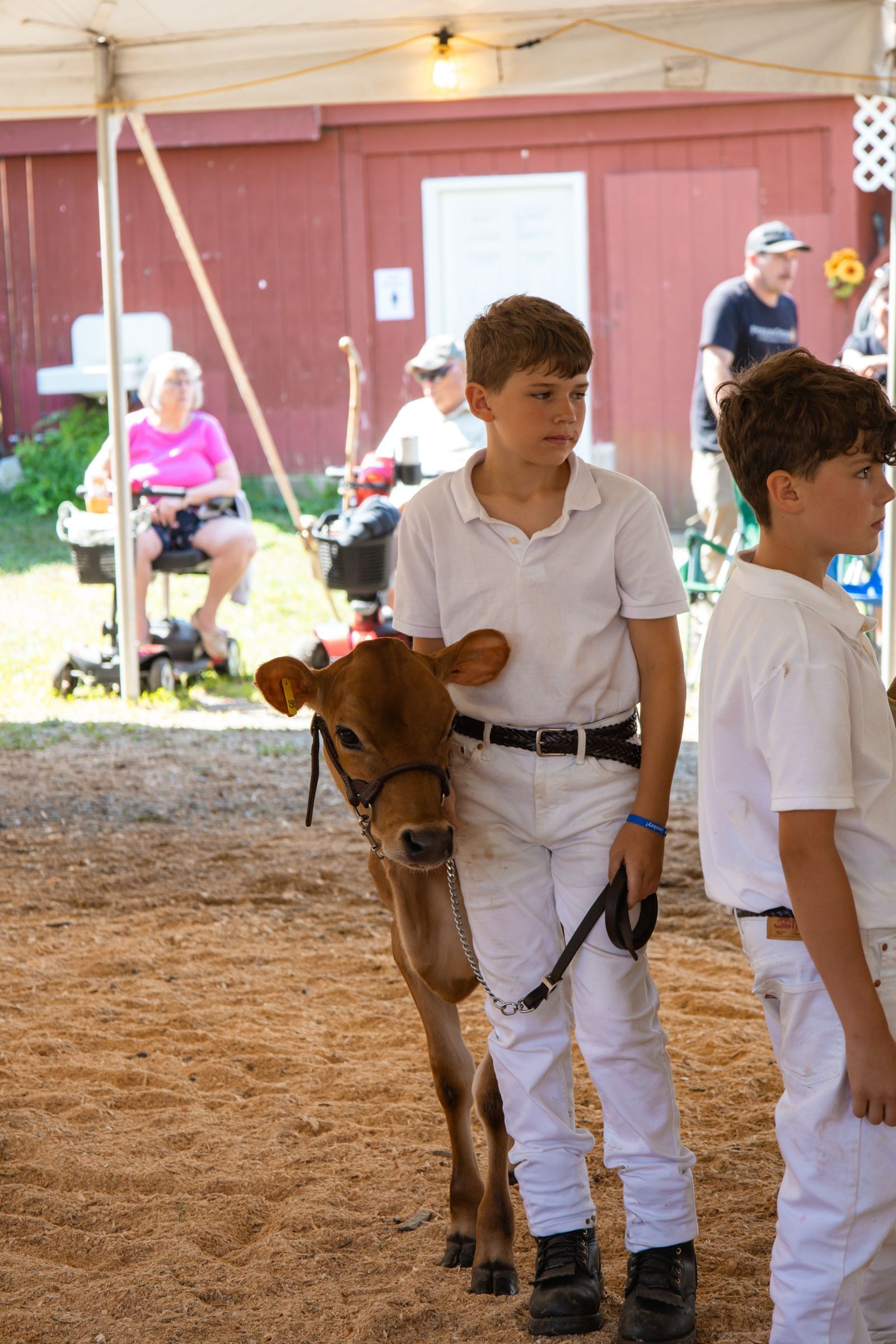 Two children in white clothes standing beside a small brown pony inside a tent at an outdoor event