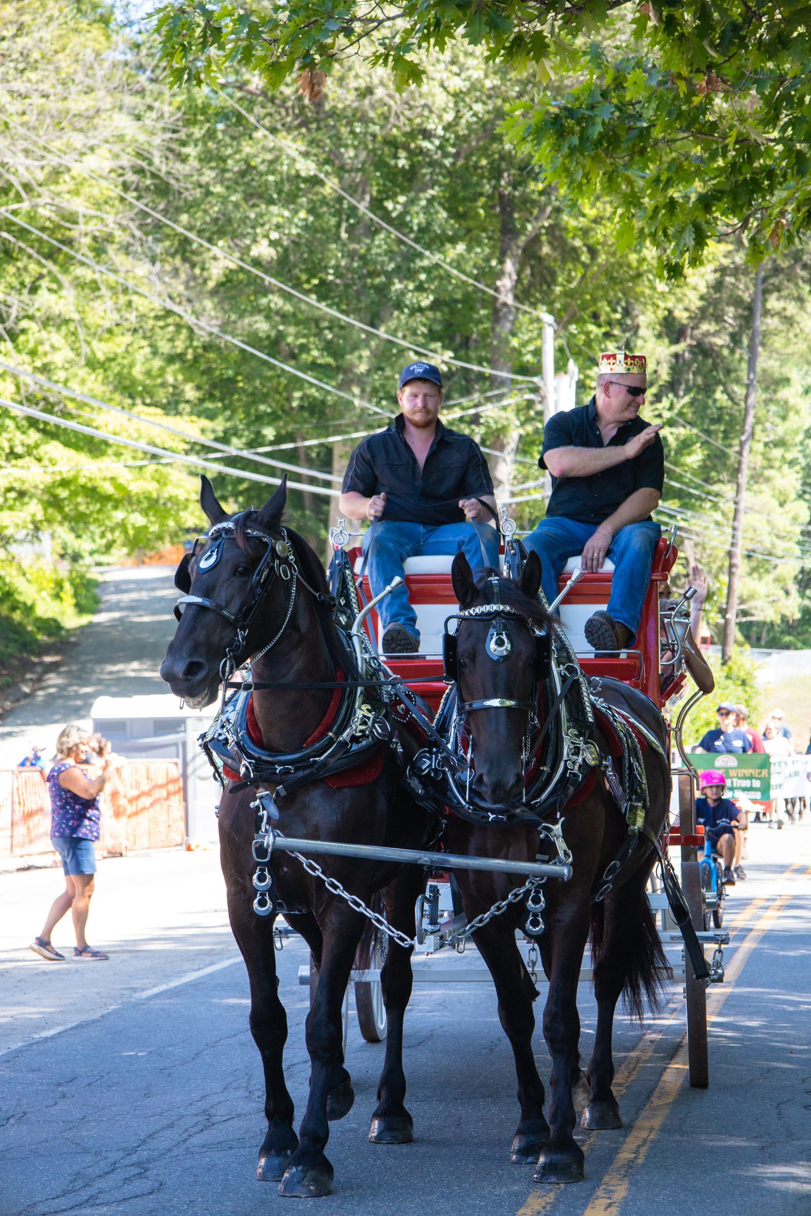 Two black horses pulling a carriage with two riders on a tree-lined road during a parade