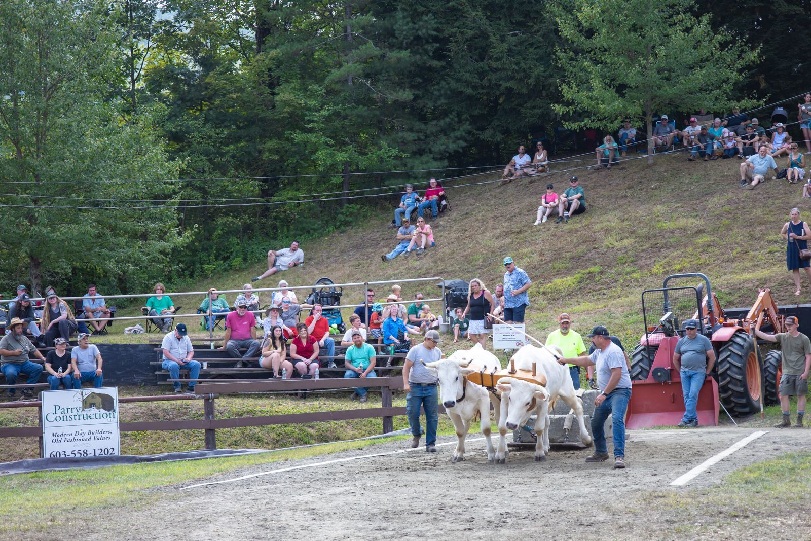 Horse-drawn wagon at an outdoor event, with spectators seated on a grassy hillside.