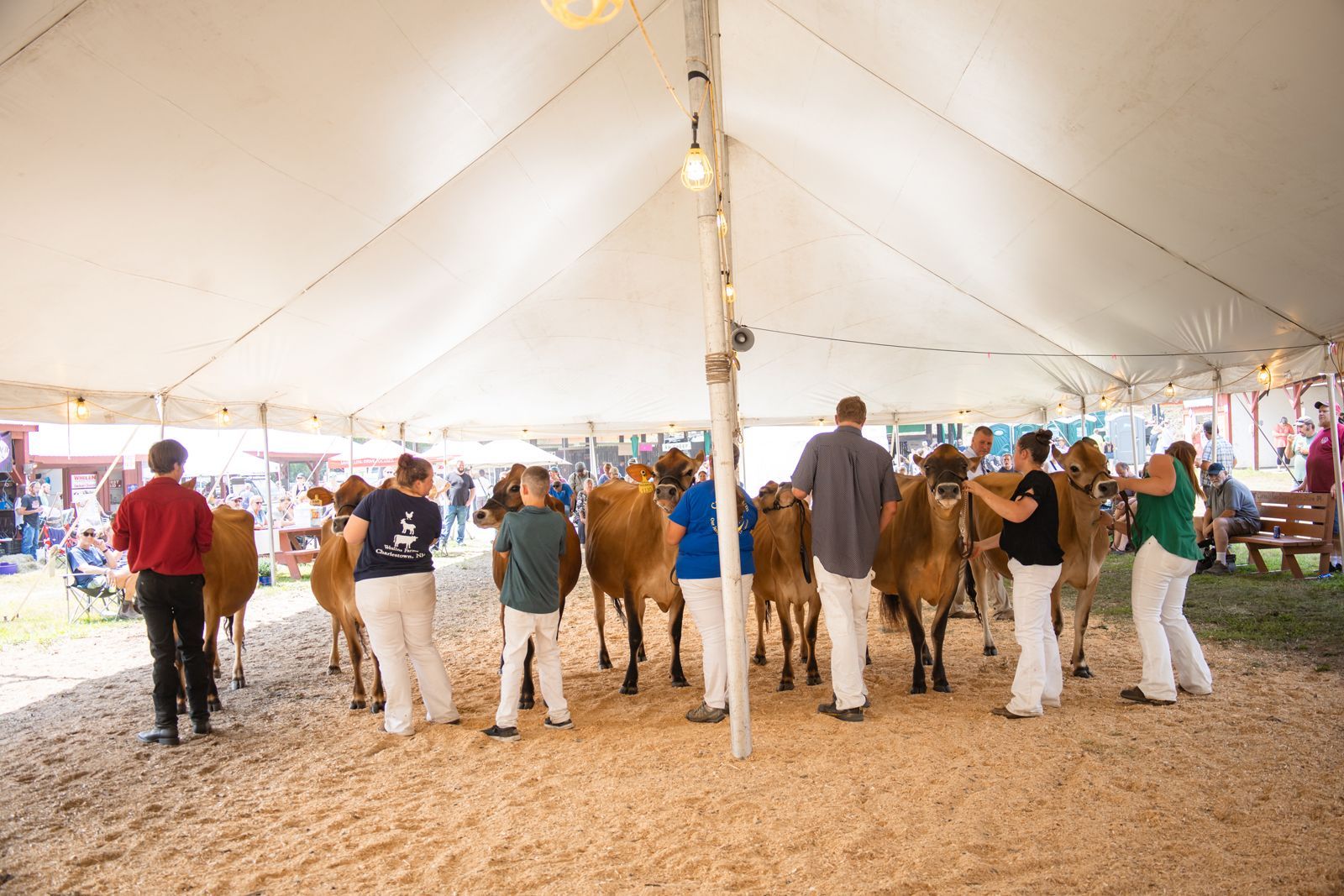 People standing in line inside a large white tent at an outdoor event.