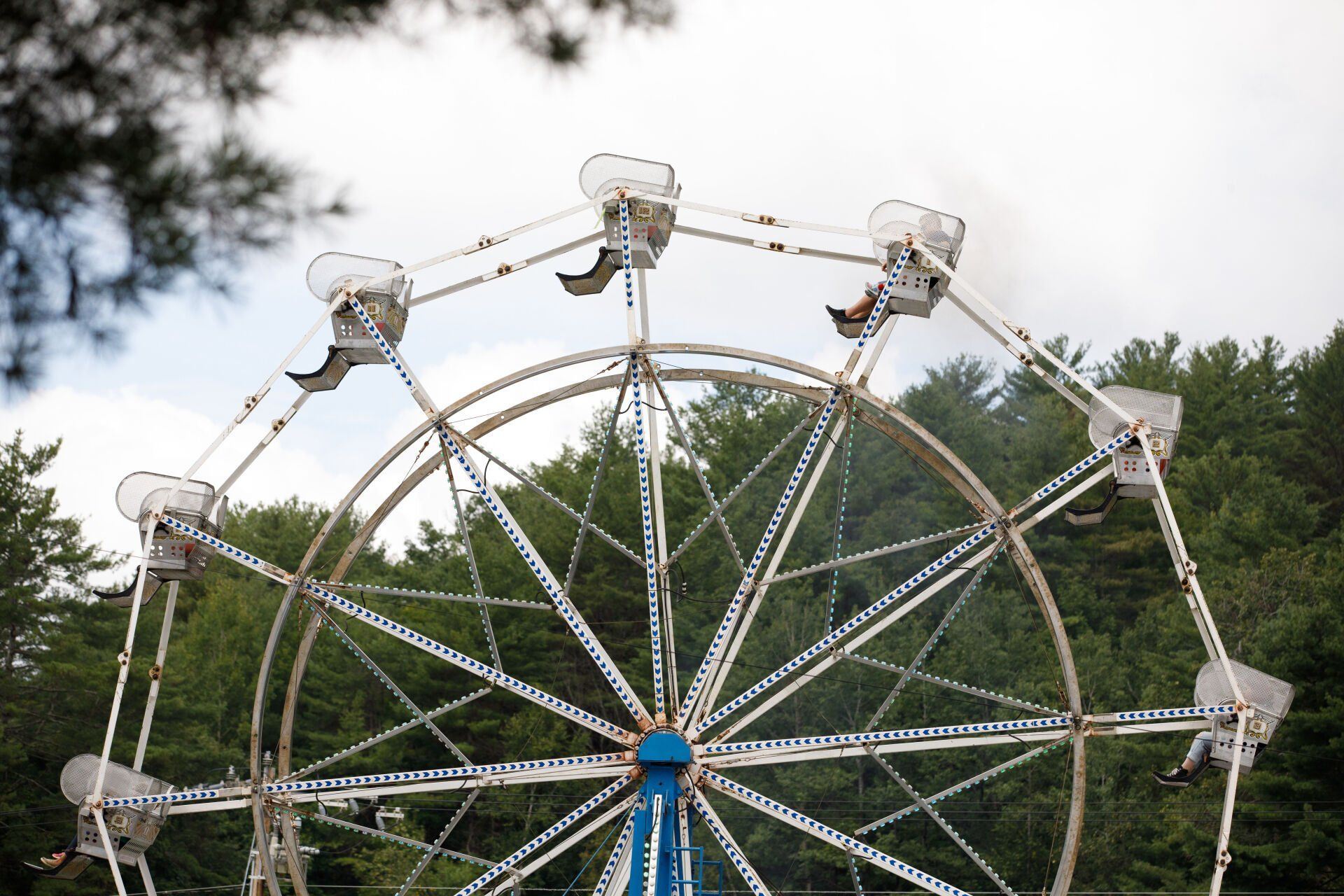 A ferris wheel in a park with trees in the background