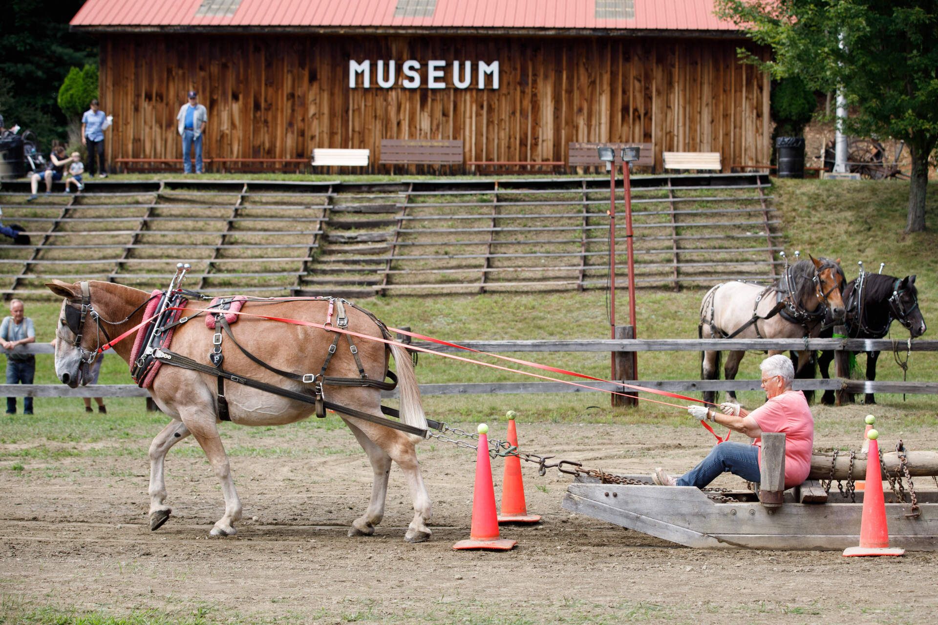 A woman is sitting on a log being pulled by a donkey in front of a museum.
