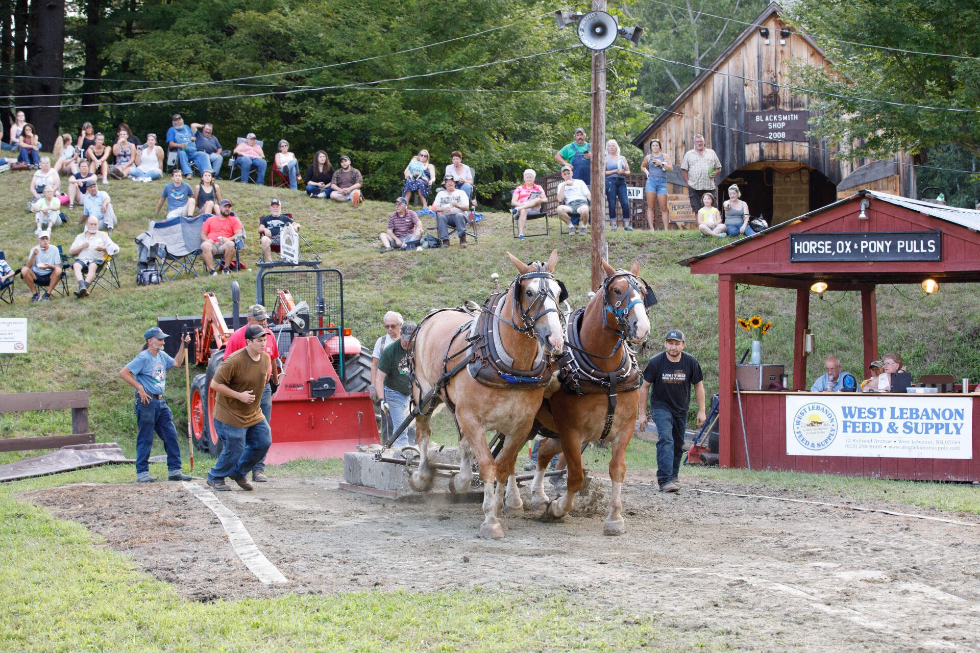A group of horses are pulling a plow in a field.
