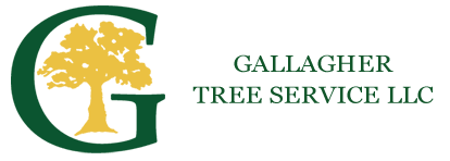 Gallagher Tree Service LLC logo with green text and a stylized gold tree inside a green G