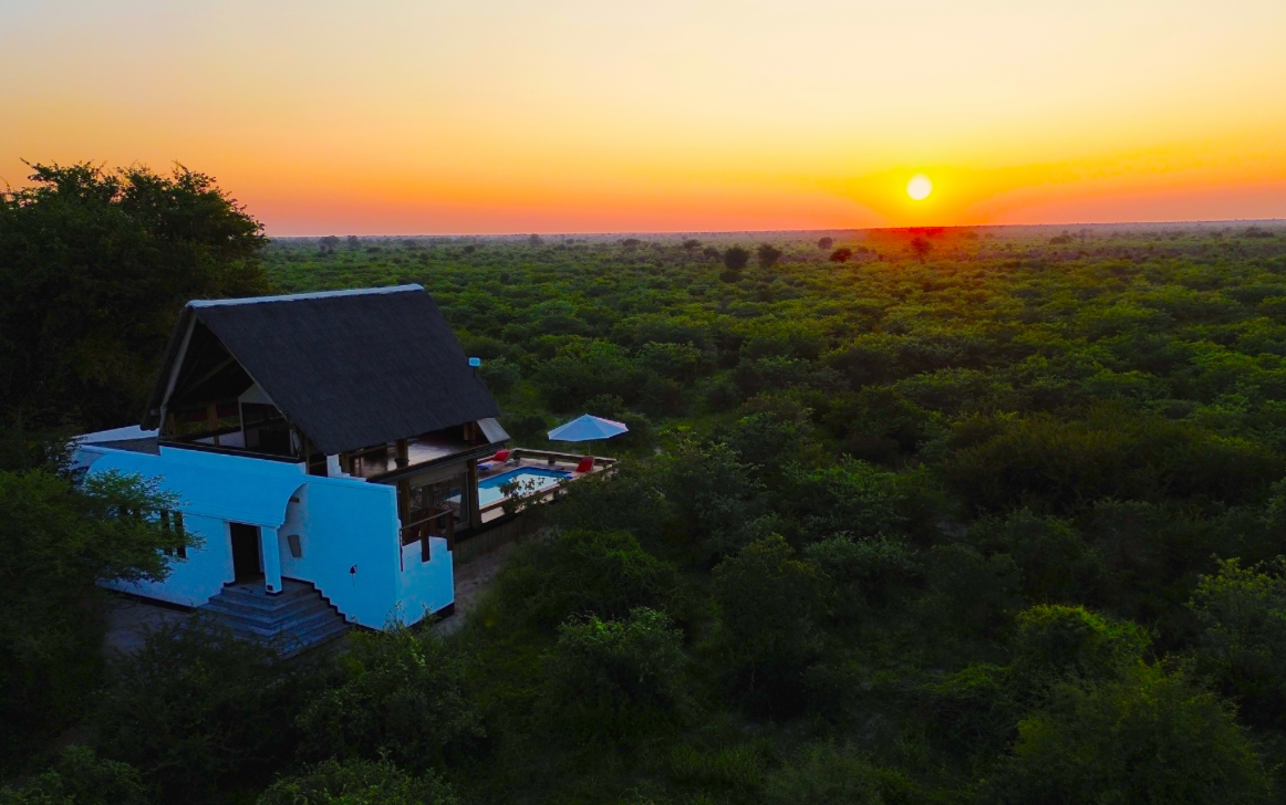 Blue house with a slanted roof in dense green forest at sunset, orange sky on the horizon