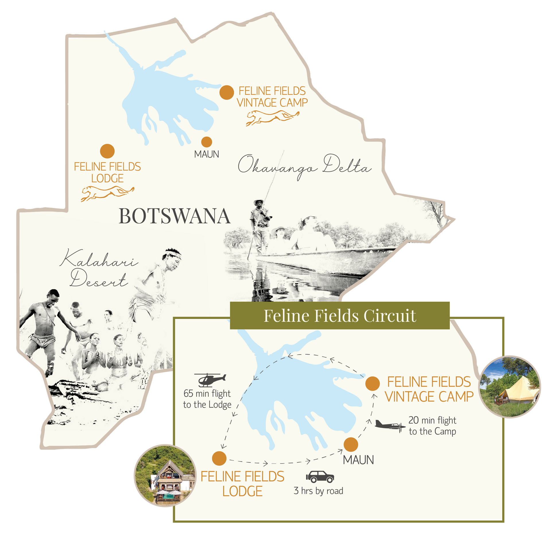 Feline Fields Map
