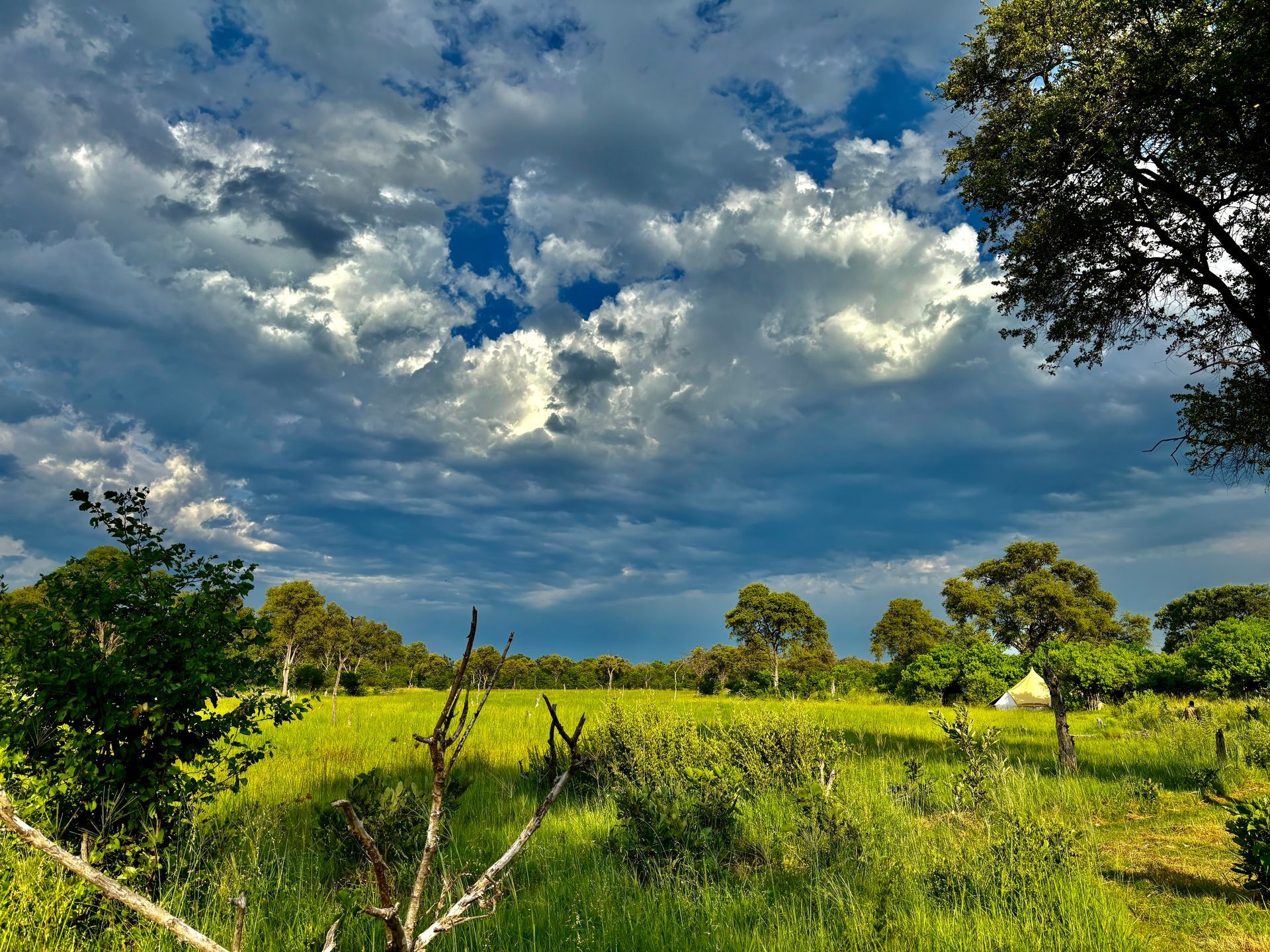 Sunlit green field under dramatic cloudy sky with trees and a small white hut