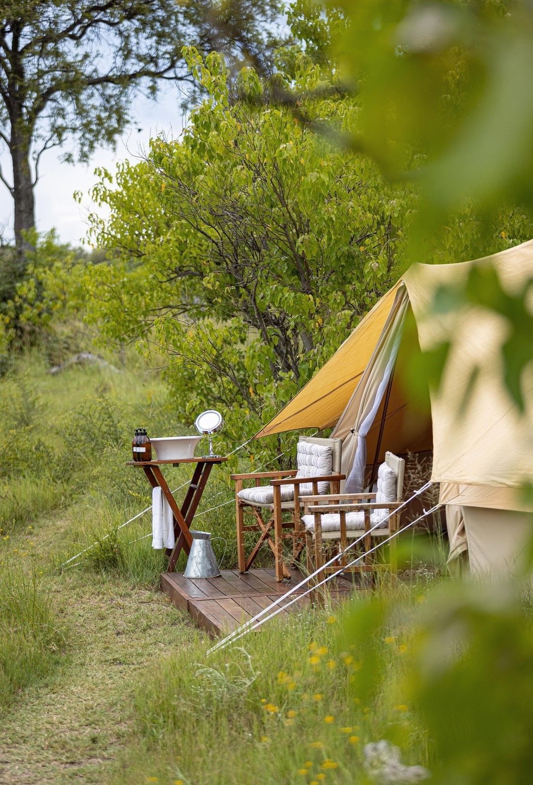 Feline Fields Vintage Camp Tent