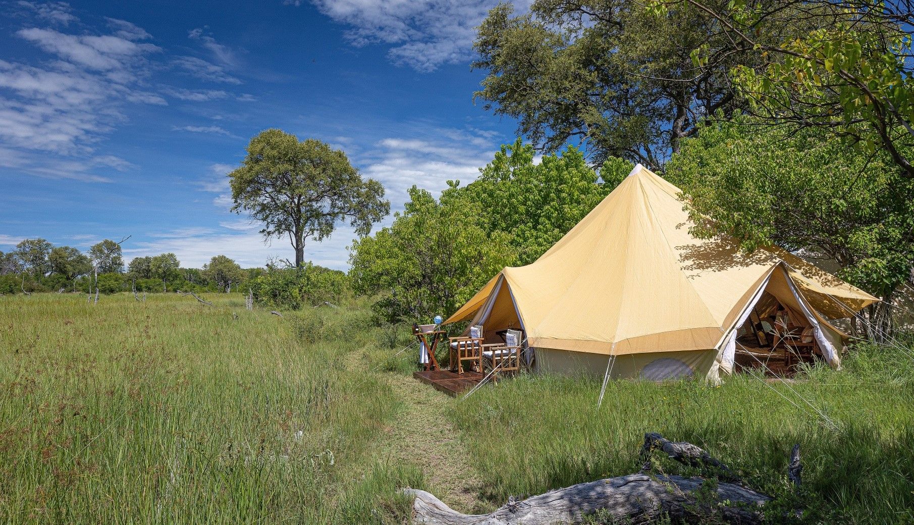 Feline Fields Vintage Camp Tent