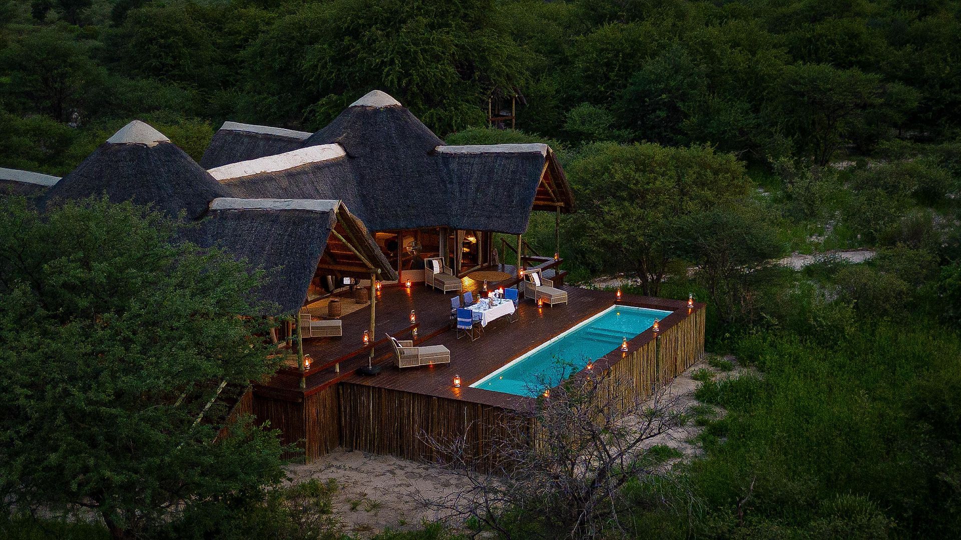 Feline Fields Lodge Pool Suite