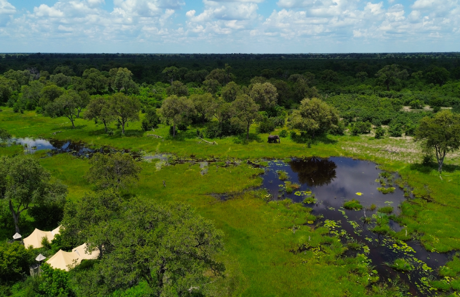 Lush green wetland with scattered trees, dark water pools, and a distant forest under a blue sky