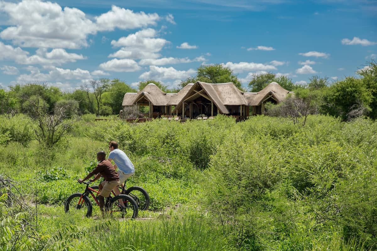 Feline Fields Biking