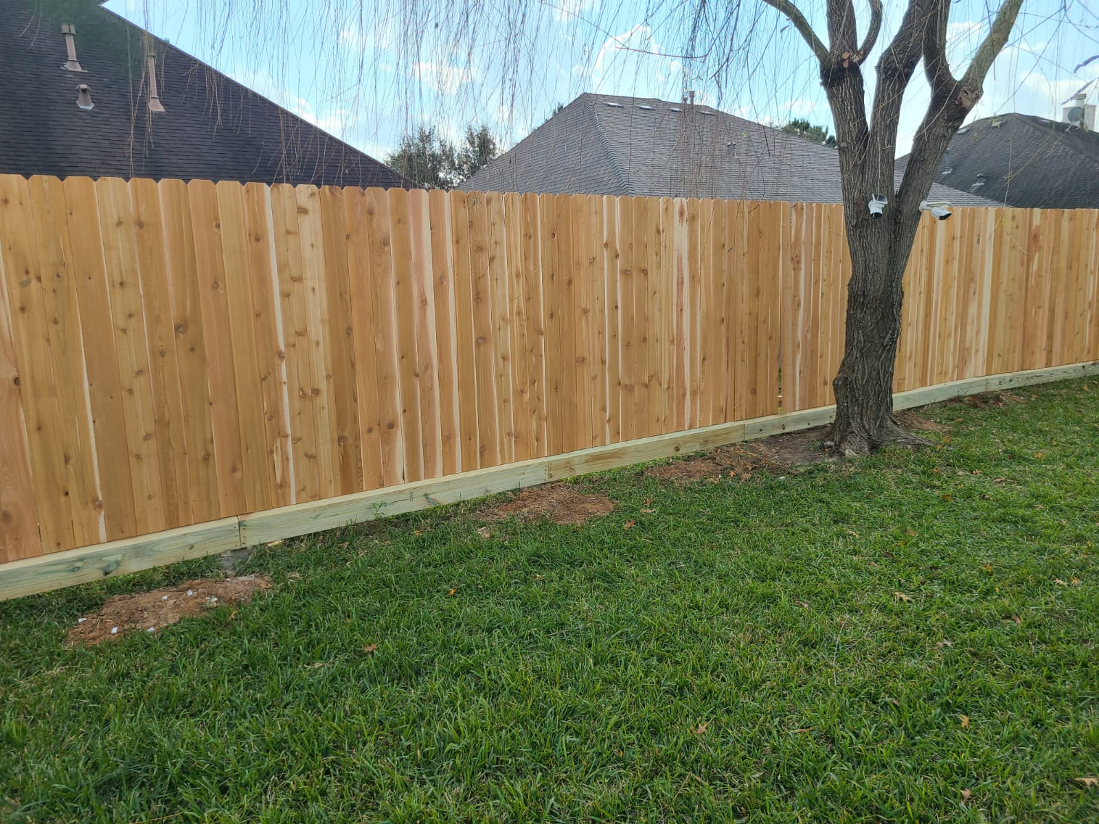 Backyard with a wooden fence, green grass, and a leafless tree on the right